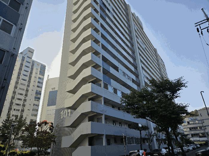 사진 03