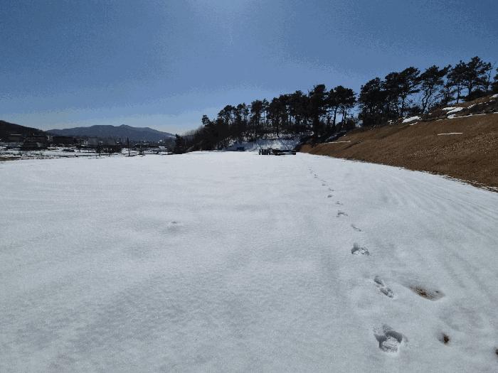 사진 02