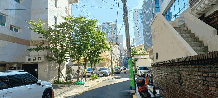 사진 05