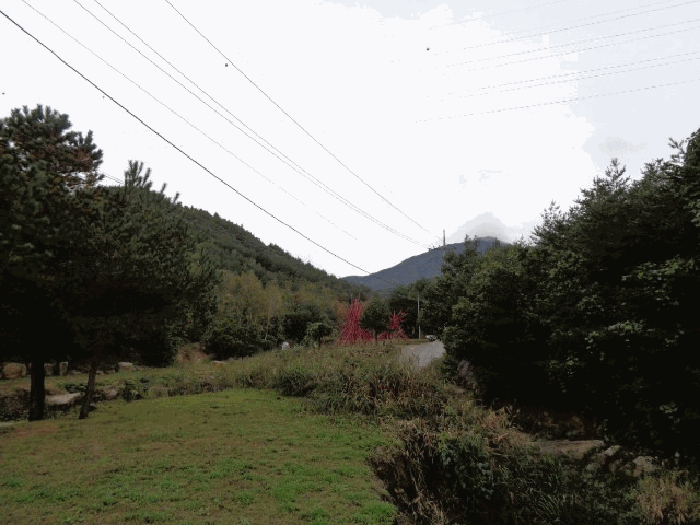 사진 07