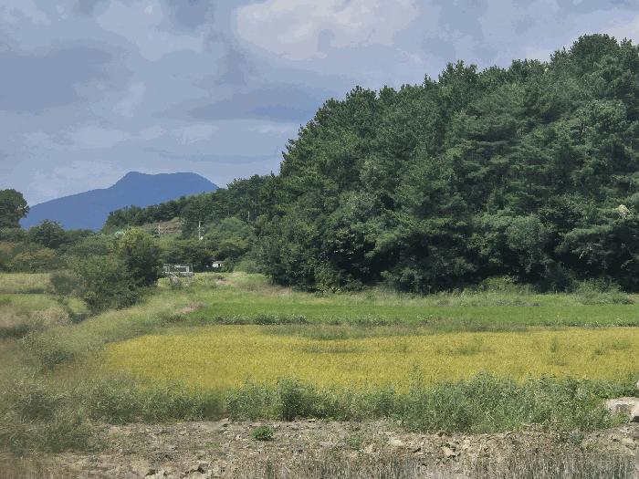 사진 06
