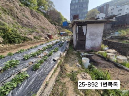 사진 03