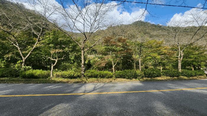 사진 05