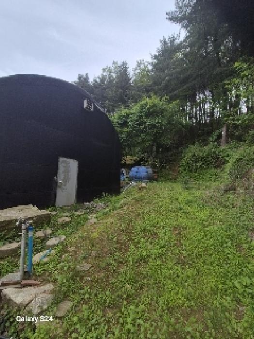 사진 01