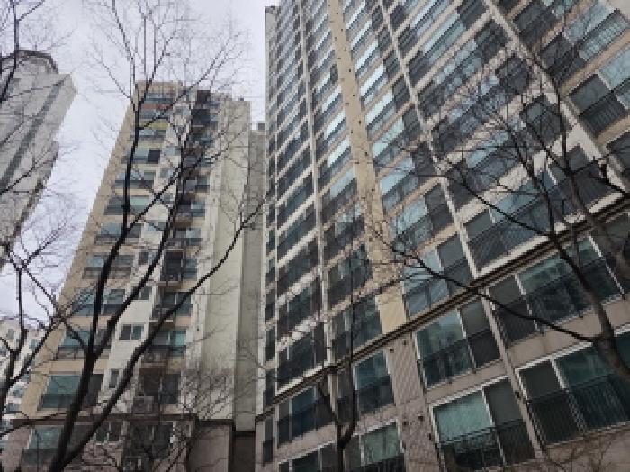 사진 01