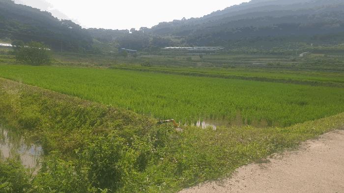 사진 02