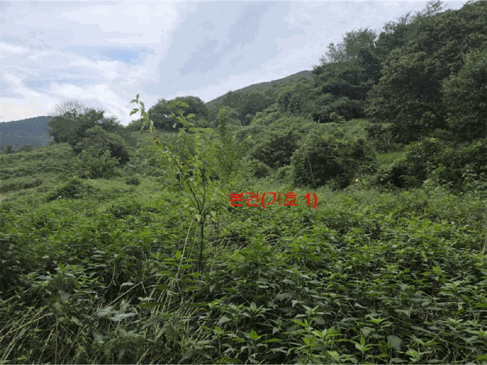 사진 03