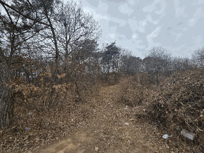 사진 04