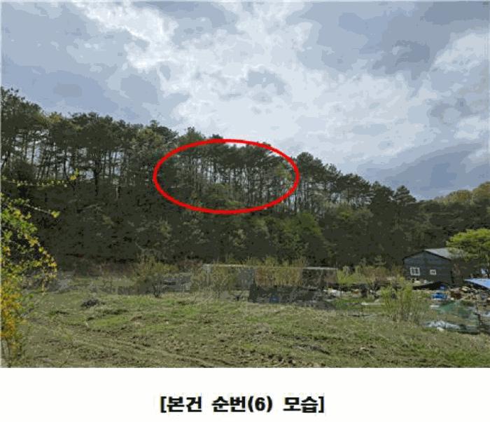 사진 02
