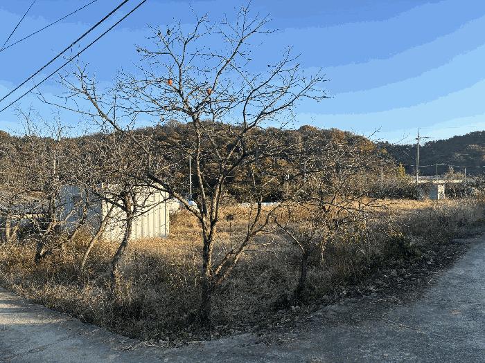 사진 03