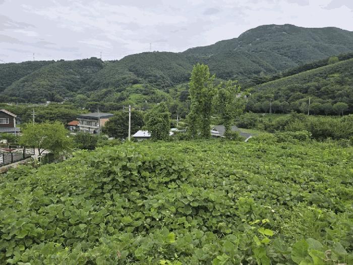 사진 07