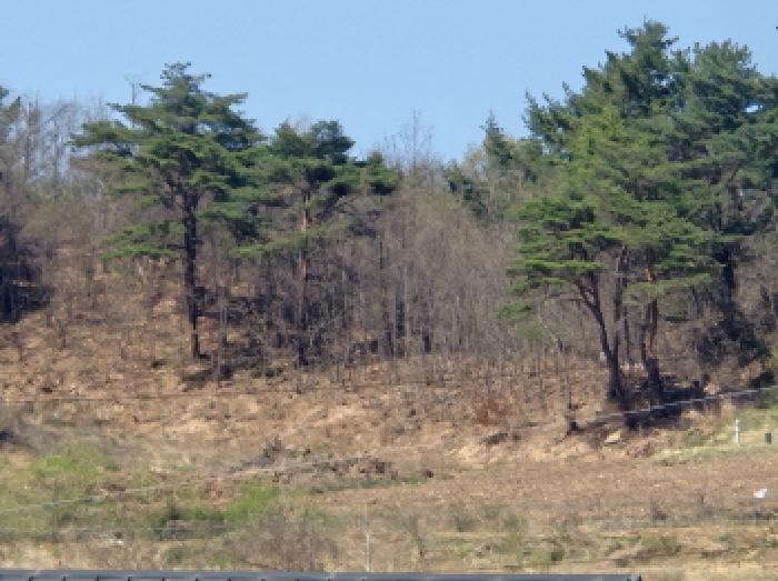 사진 07