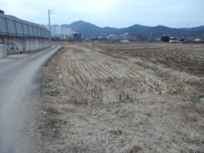 사진 05