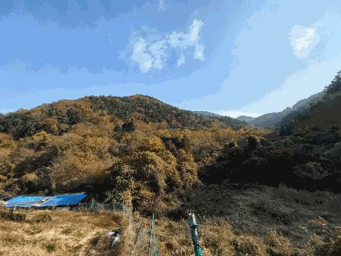 사진 07