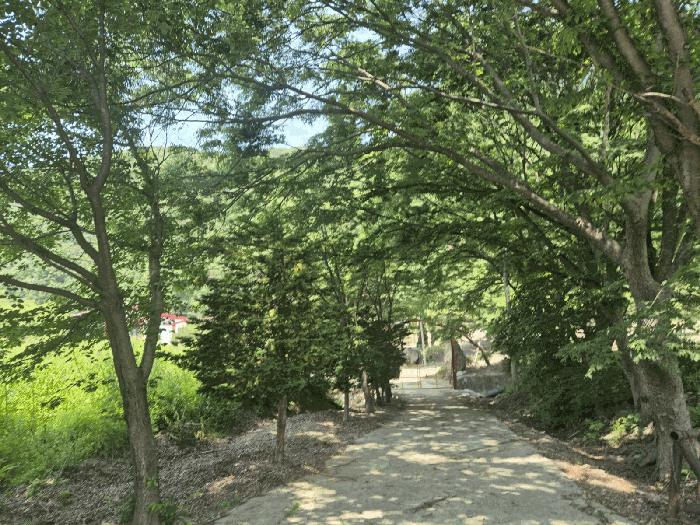 사진 06