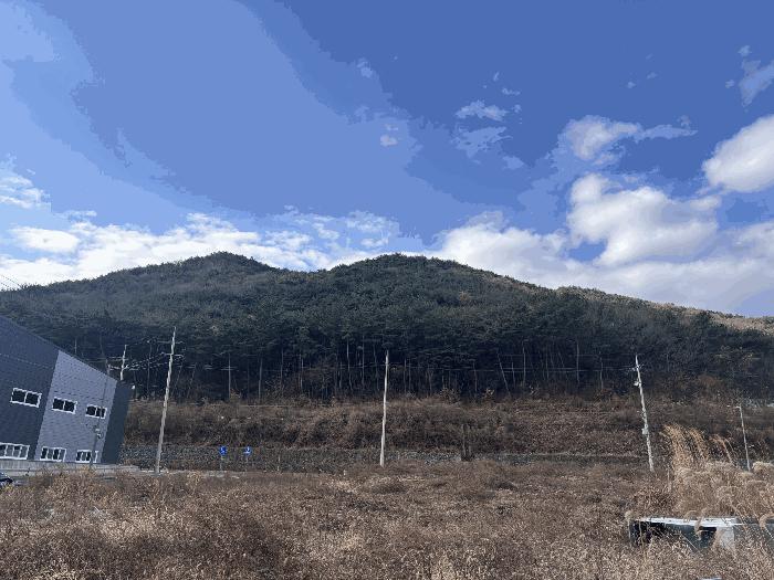 사진 01