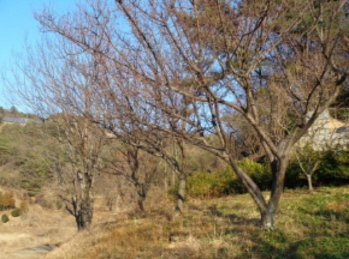 사진 08