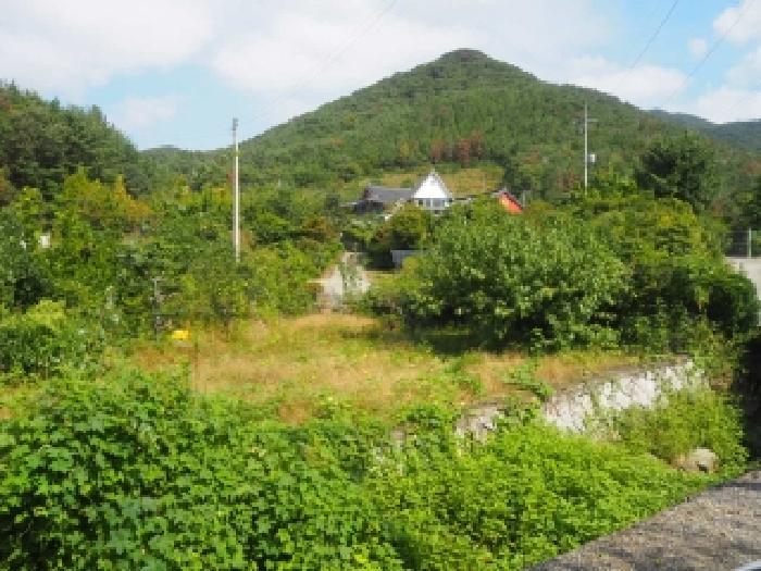 사진 01