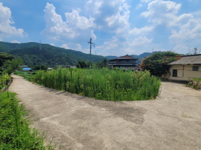사진 03