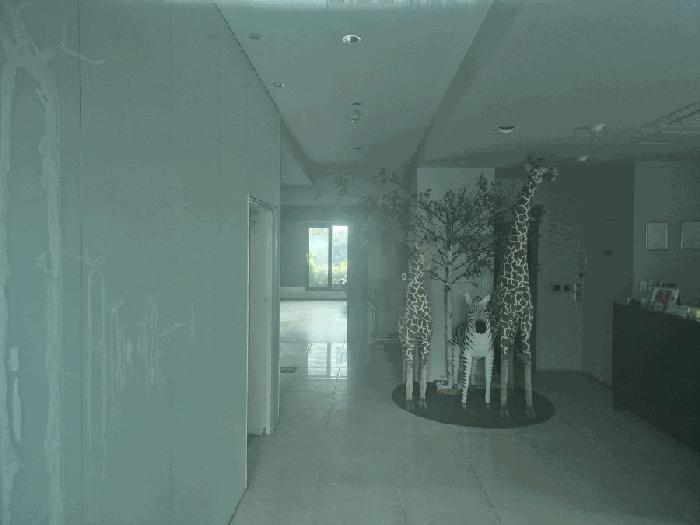 사진 03