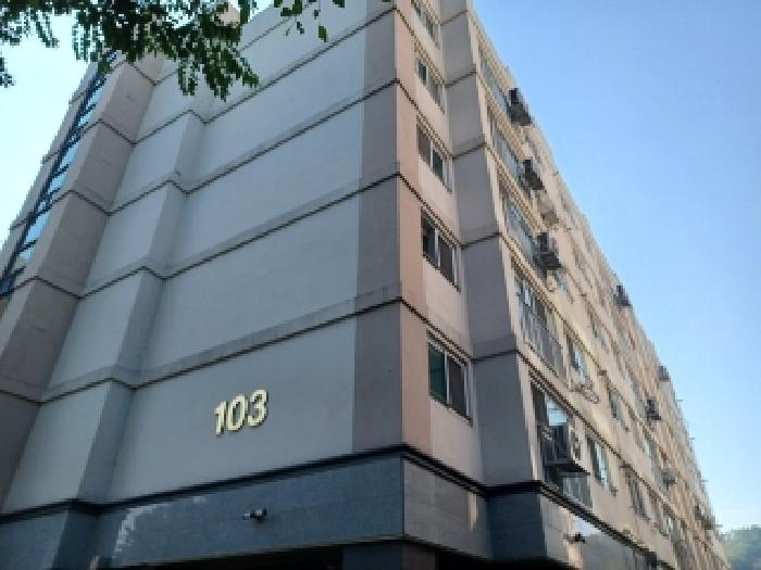 사진 01