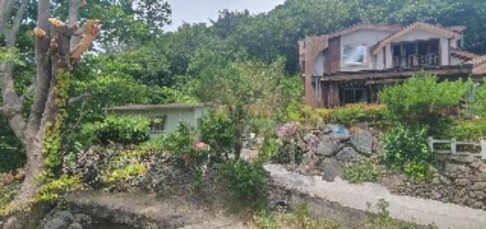 사진 01