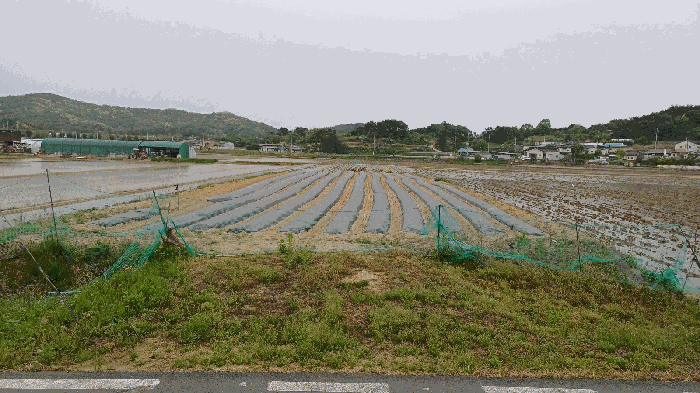 사진 05