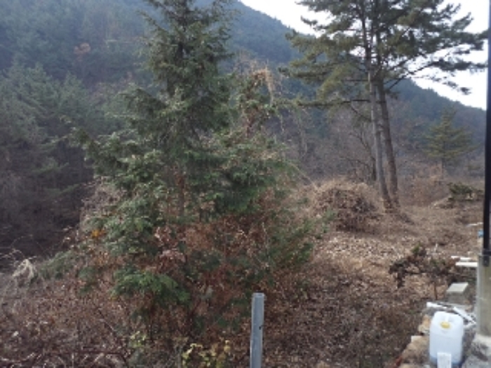 사진 01