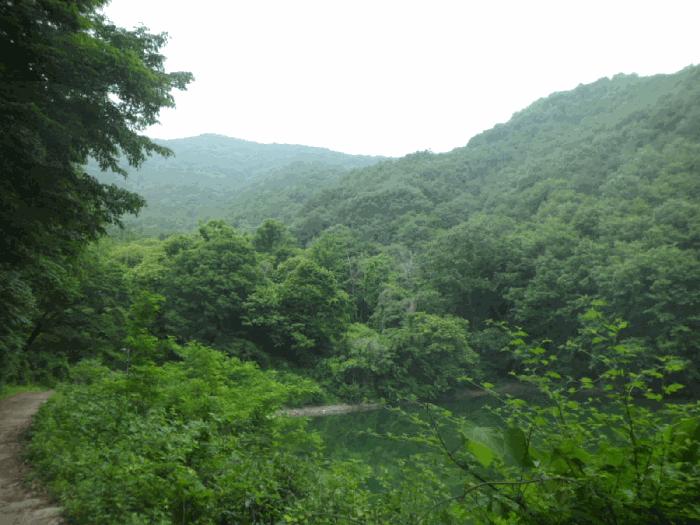 사진 04