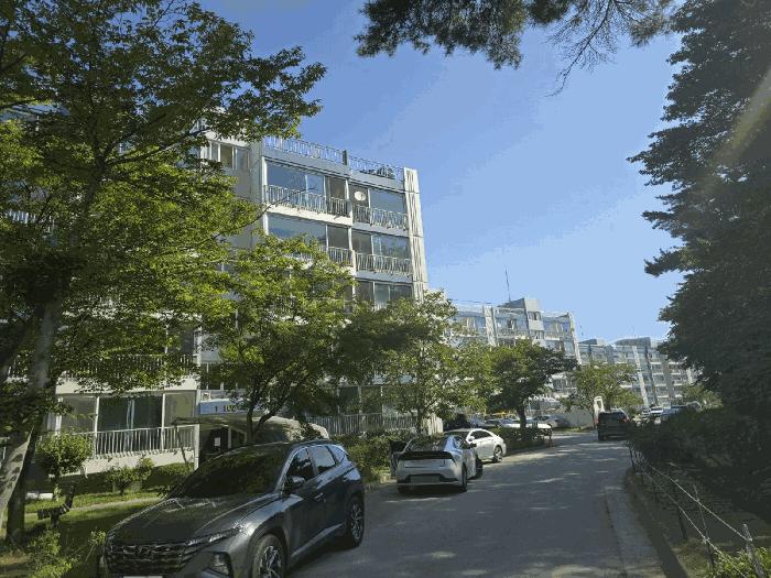 사진 01