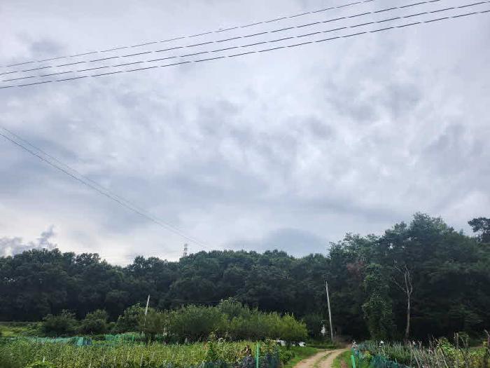 사진 08