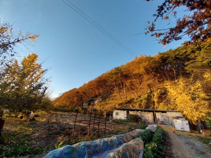 사진 04