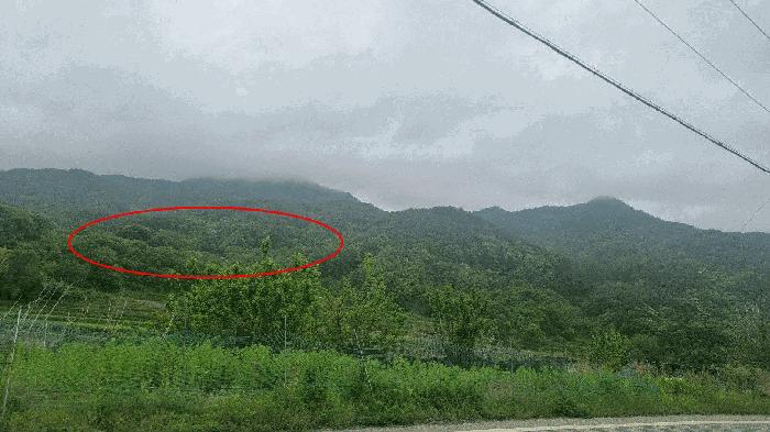 사진 08