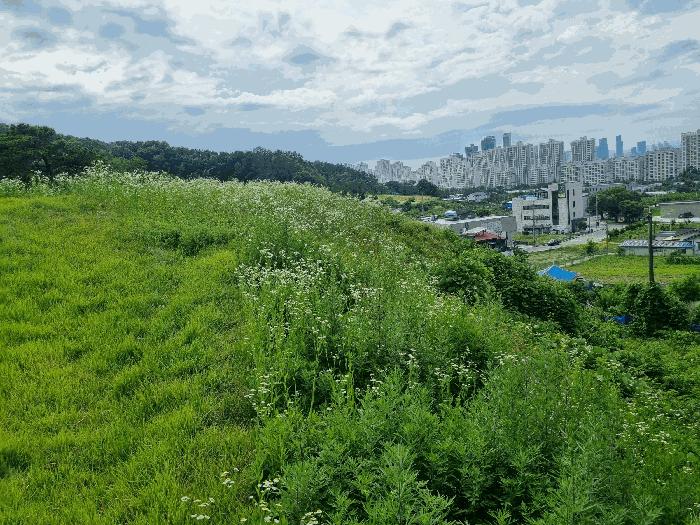 사진 06
