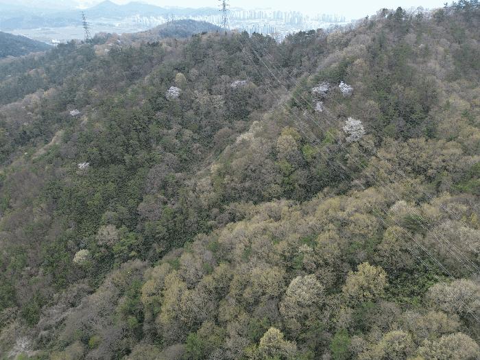 사진 06