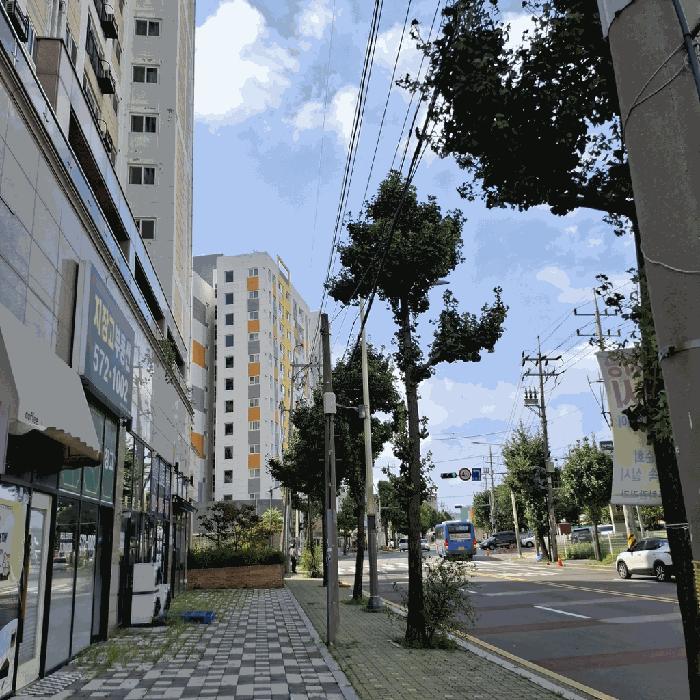 사진 03