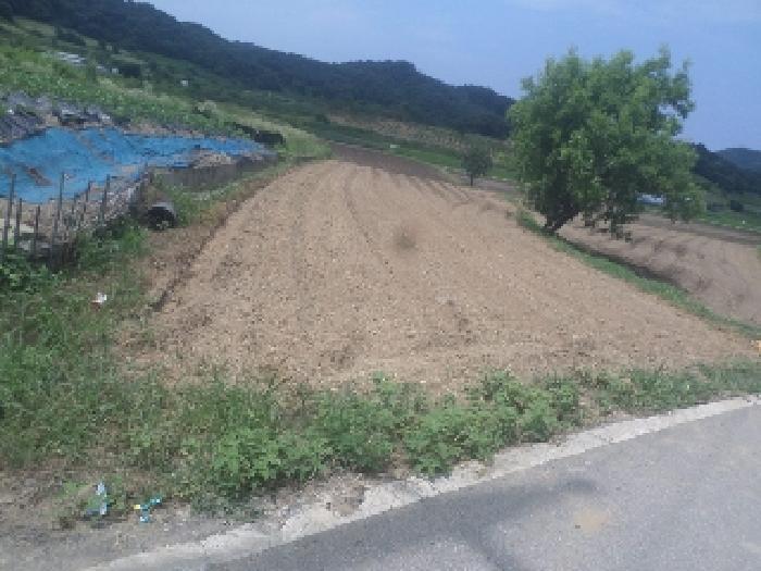 사진 03