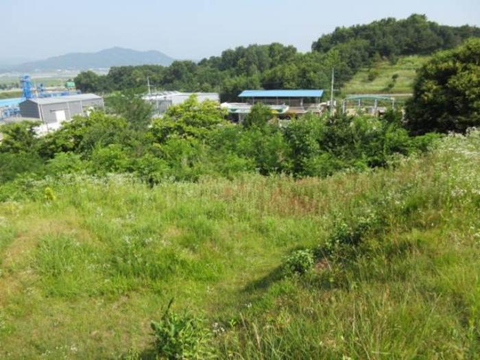 사진 08