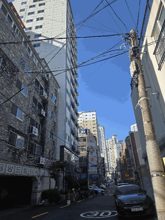 사진 06