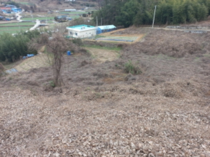 사진 01
