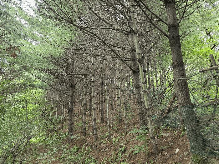 사진 04