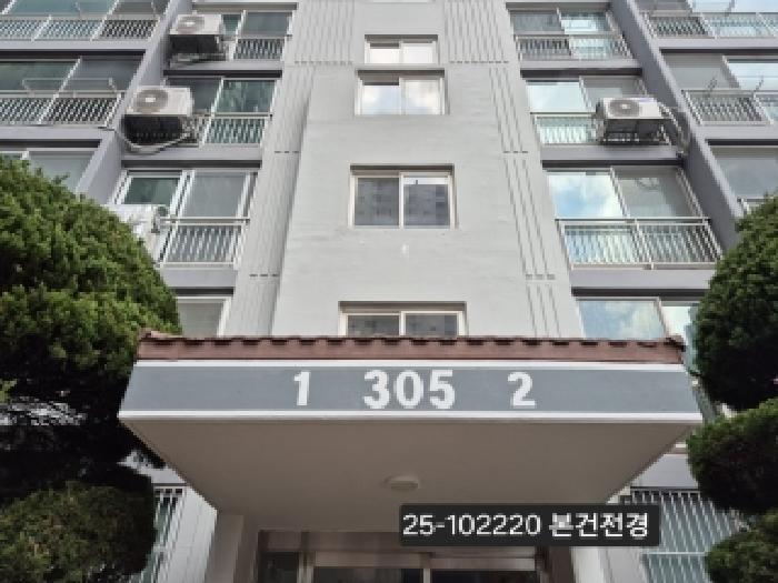사진 01
