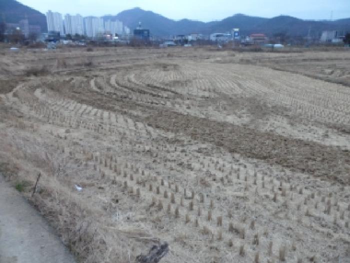 사진 06