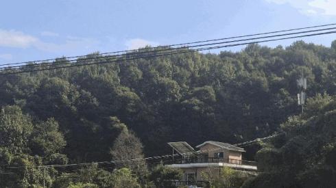 사진 01