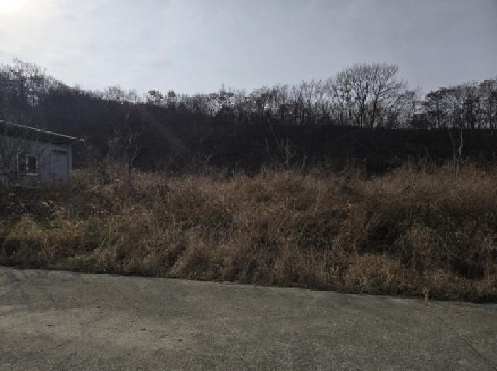 사진 06