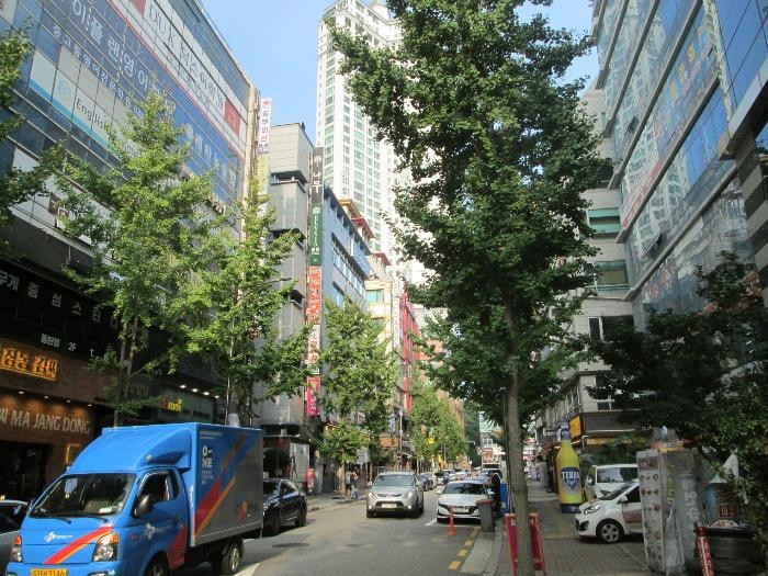 사진 01