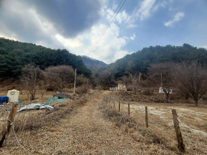 사진 02