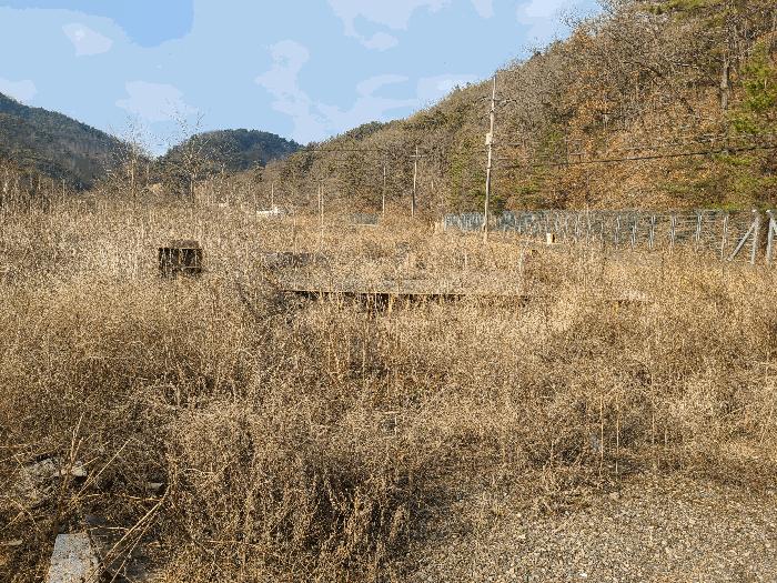 사진 05