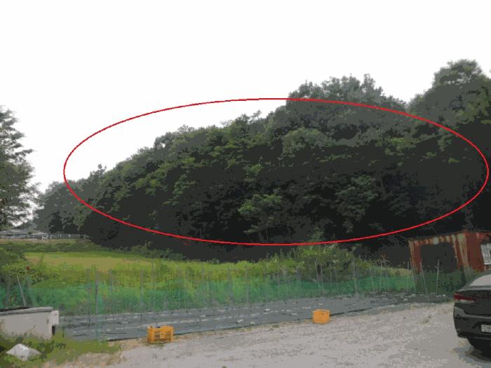 사진 06