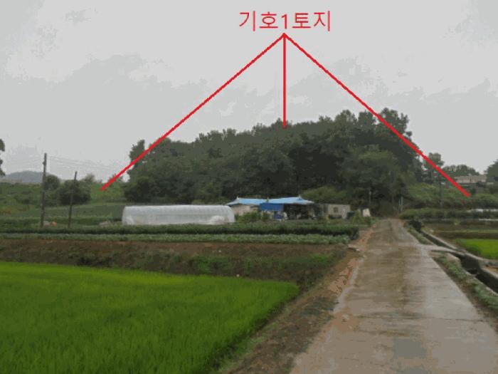 사진 08